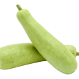 1 - Piece Lauki (Bottle Gourd) (Approx. 500 - 600 g)